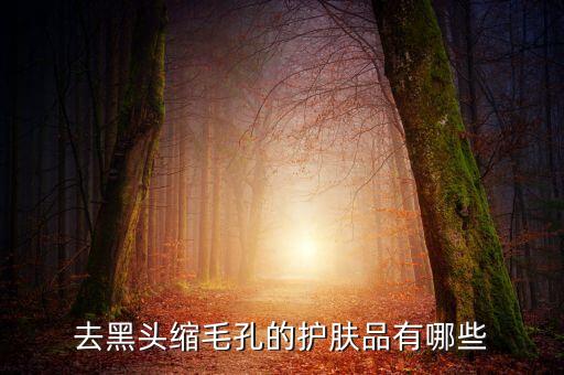 去黑头用什么化妆品最有效,去黑头最有效的方法是什么？