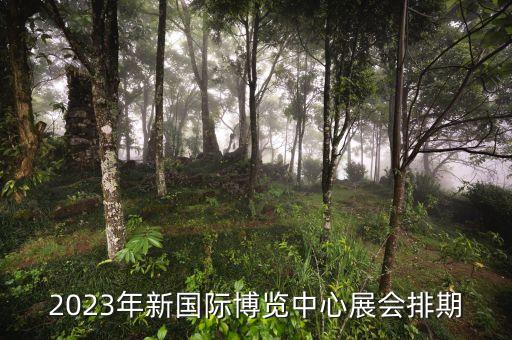 上海的美容博览会有什么,上海美博会与广州美博的区别