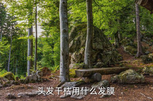 施华蔻羊绒脂发膜如何,施华蔻羊绒脂发膜怎么用?