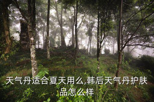 天气丹适合夏天用么,韩后天气丹护肤品怎么样