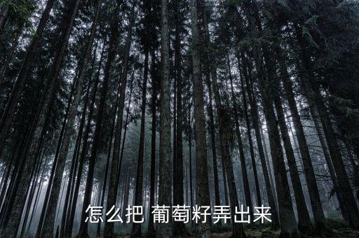 怎么把 葡萄籽弄出来