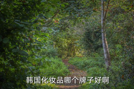  韩国化妆品哪个牌子好啊
