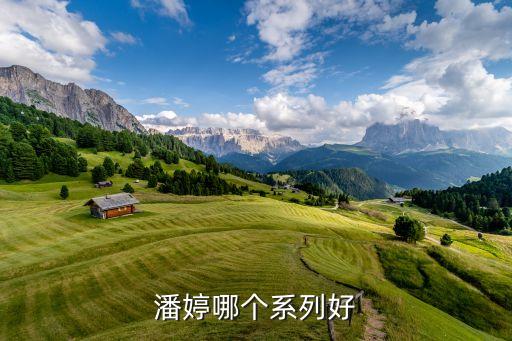 潘婷润发乳怎么样,施华洛世奇护发素怎么样？