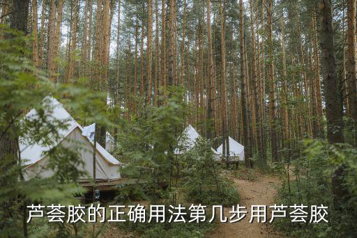 芦荟胶的正确用法第几步用芦荟胶