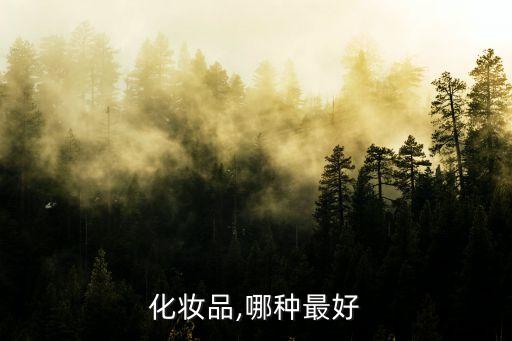 化妆品,哪种最好