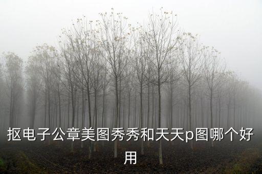 哪个p图软件有粉底液,粉底液在哪个软件上买好一点