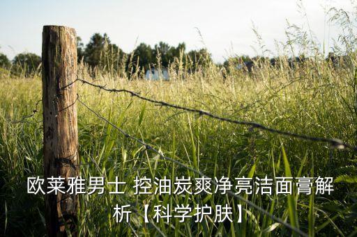  欧莱雅男士 控油炭爽净亮洁面膏解析【科学护肤】