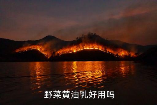 野菜护肤品怎么样,野菜化妆品属于什么档次