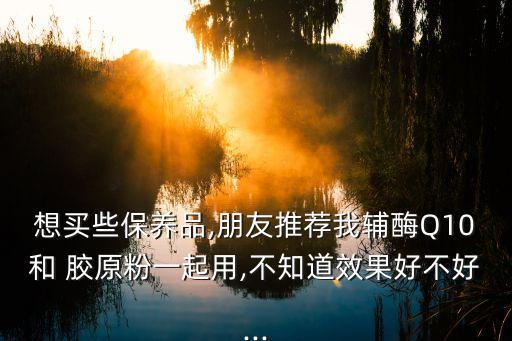 想买些保养品,朋友推荐我辅酶Q10和 胶原粉一起用,不知道效果好不好...