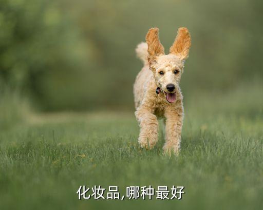 化妆品,哪种最好