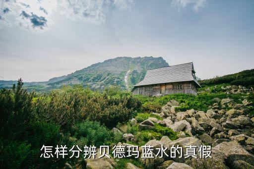如何查询贝德玛真伪,贝德玛,查一下真伪