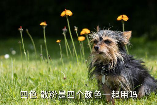 四色 散粉是四个颜色一起用吗