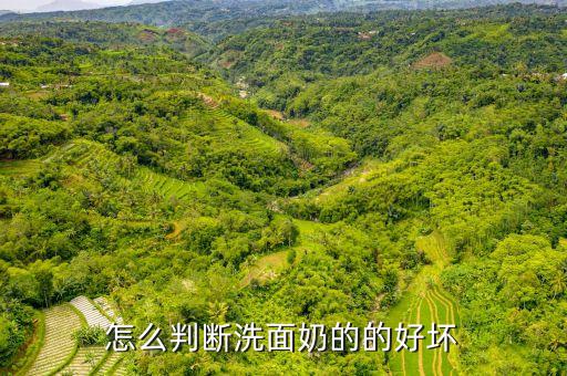 怎么判断洗面奶的的好坏