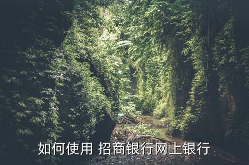 湖南正宗如何防脱招商