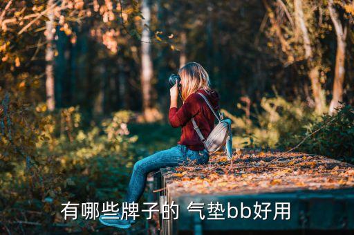 悦诗风吟气垫 怎么替换,气垫怎么替换芯