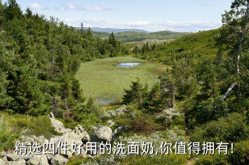 精选四件好用的洗面奶,你值得拥有!