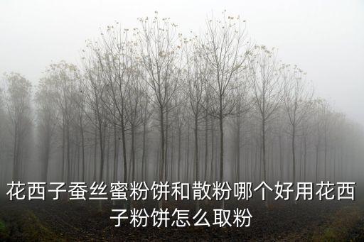 花西子蚕丝蜜粉饼和散粉哪个好用花西子粉饼怎么取粉