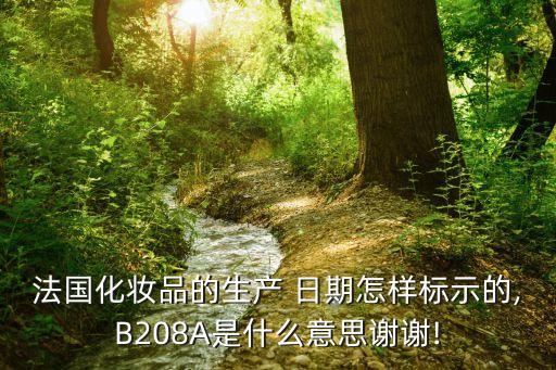 法国化妆品的生产 日期怎样标示的,B208A是什么意思谢谢!