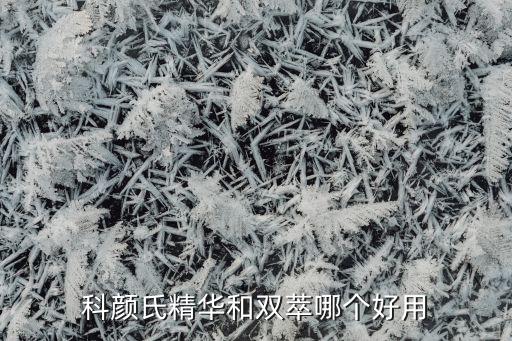 科颜氏精华和双萃哪个好用