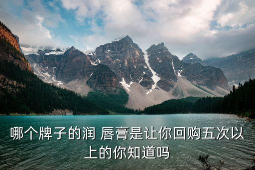哪个牌子的润 唇膏是让你回购五次以上的你知道吗