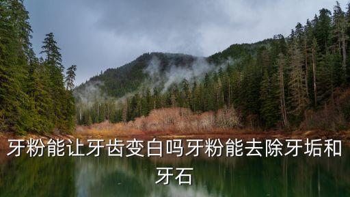 去牙渍用什么产品,有什么去除牙渍效果好的？
