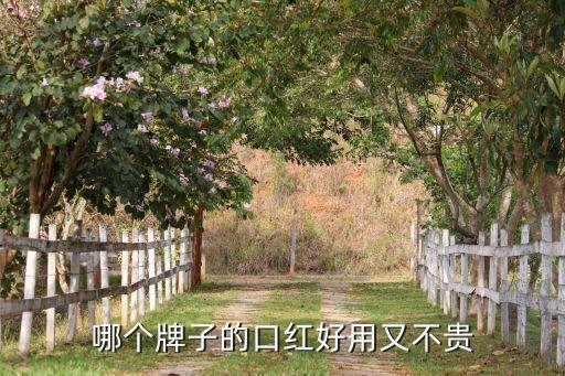 韩国bbia是什么牌子,哪个牌子的眼线笔好用又不化妆？