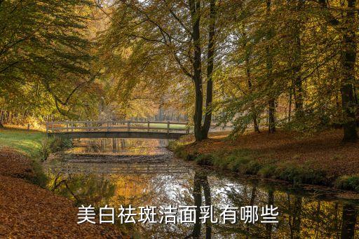 洗颜洗面奶有哪些,豆浆洗面奶怎么样？