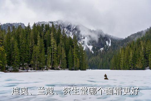 迪奥、兰蔻、资生堂哪个面霜更好