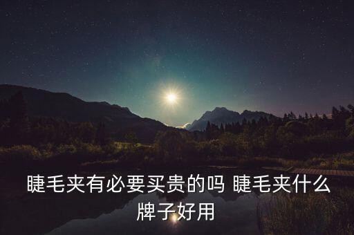  睫毛夹有必要买贵的吗 睫毛夹什么牌子好用