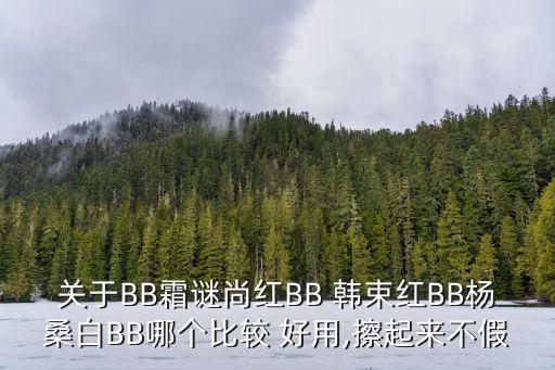 关于BB霜谜尚红BB 韩束红BB杨桑白BB哪个比较 好用,擦起来不假