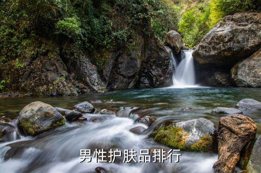 菲拉男士化妆品怎么样,男士护肤品什么牌子好?欧莱雅男士榜鹅上扬