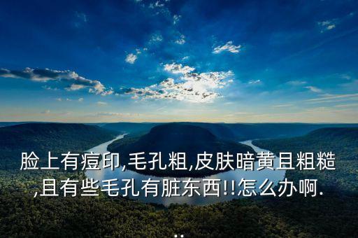 脸上有痘印,毛孔粗,皮肤暗黄且粗糙,且有些毛孔有脏东西!!怎么办啊...