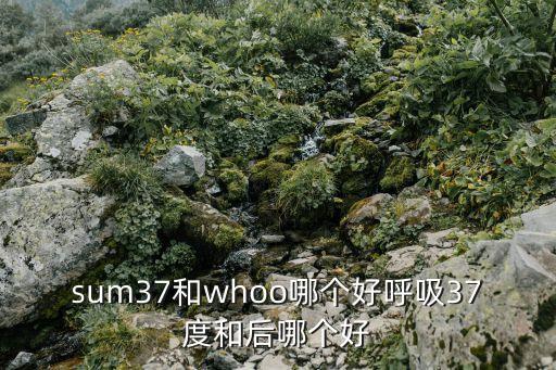 sum37和whoo哪个好呼吸37度和后哪个好