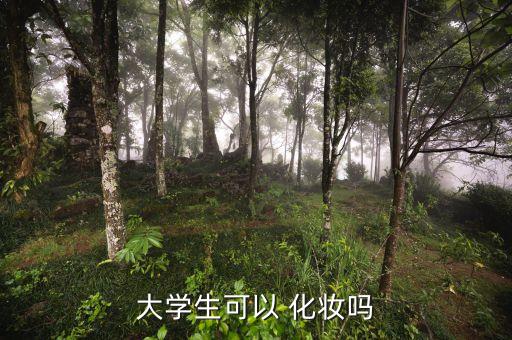 大学生可以 化妆吗