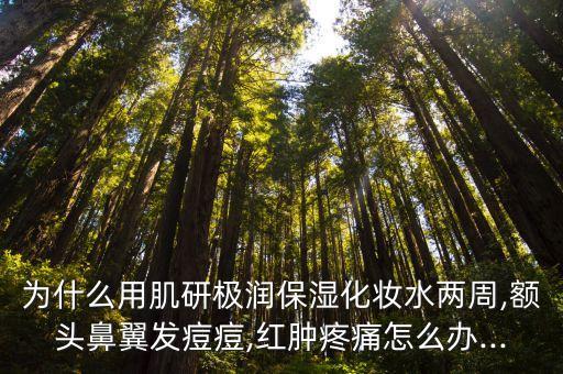 为什么用肌研极润保湿化妆水两周,额头鼻翼发痘痘,红肿疼痛怎么办...