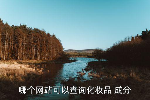 哪个网站可以查询化妆品 成分