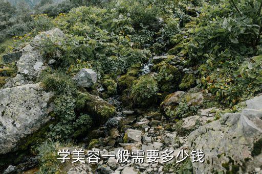 学美容一般需要多少钱