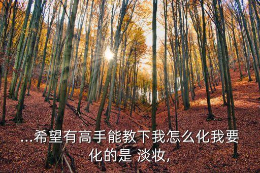 想学化淡妆去哪里学,想画个淡妆可以去哪里