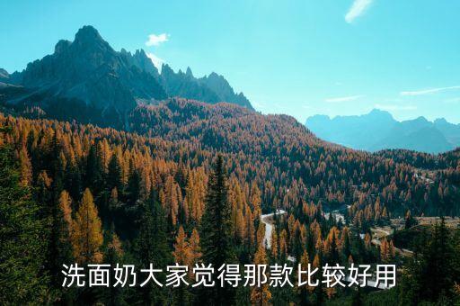 洗面奶大家觉得那款比较好用