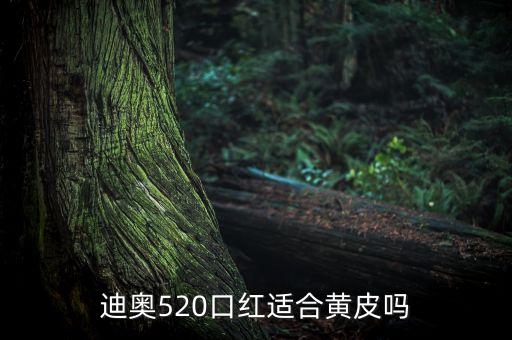 迪奥520口红适合黄皮吗