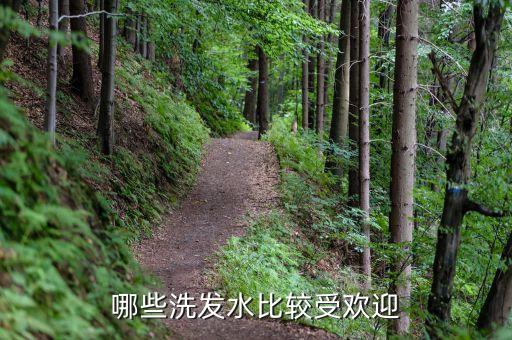 润膏跟吕哪个好,沙宣和润膏哪个好