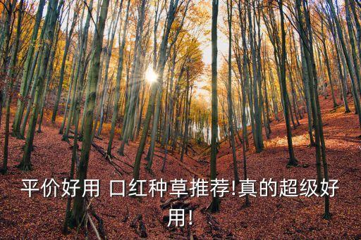 平价好用 口红种草推荐!真的超级好用!