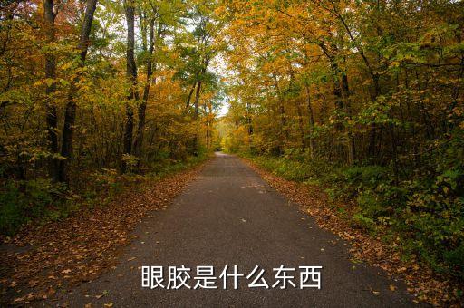 眼胶是什么东西