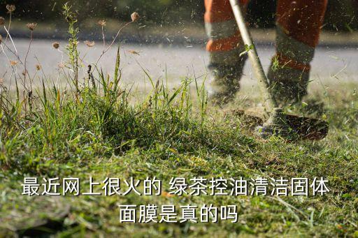 绿茶去黑头面膜怎么样,vza绿茶去黑头面膜使用方法视频