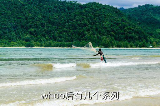 拱辰享弹力安瓶怎么样