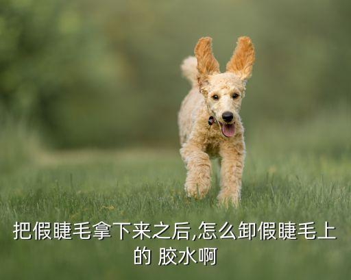 娥佩兰胶水怎么用