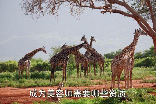 成为美容师需要哪些资质