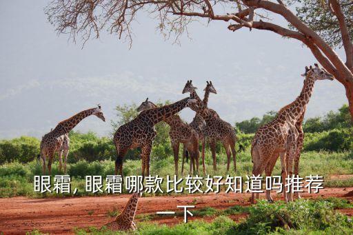  眼霜, 眼霜哪款比较好知道吗推荐一下