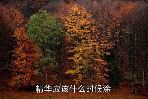 精华什么时候用呢,B5精华什么时候用？