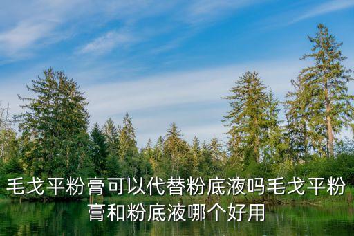 毛戈平粉膏可以代替粉底液吗毛戈平粉膏和粉底液哪个好用